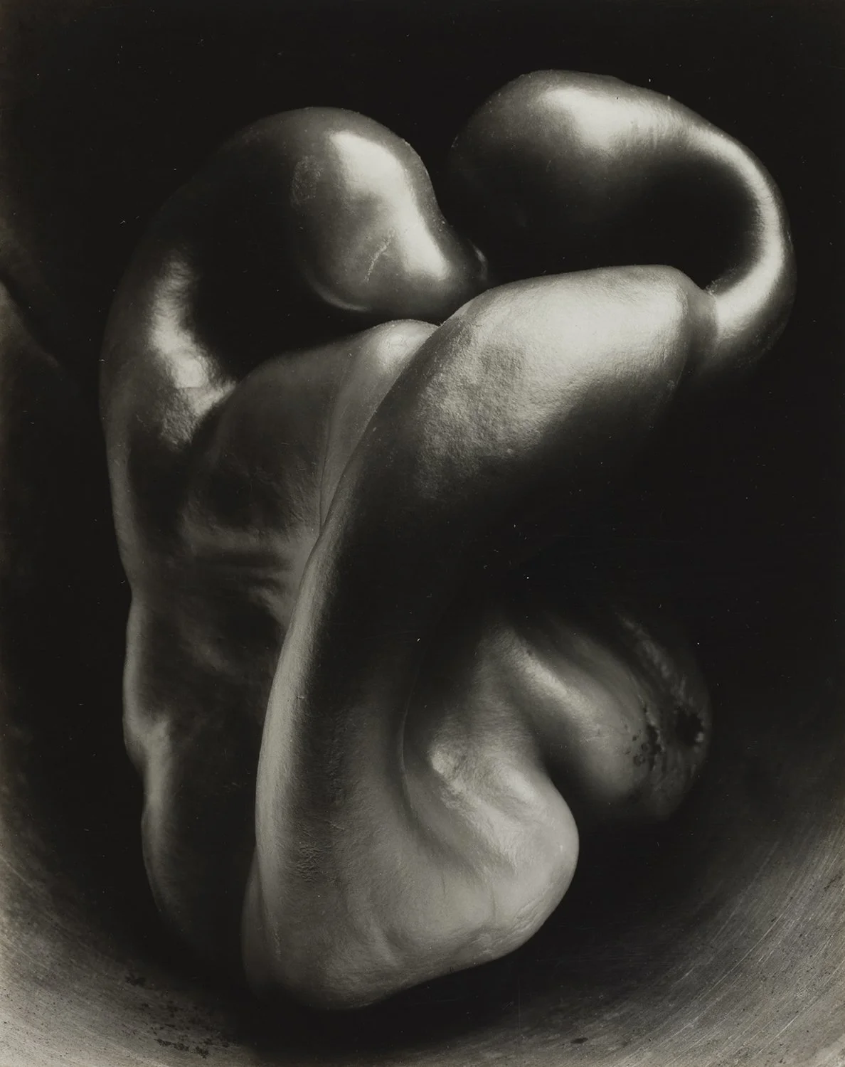 Edward Weston: Becoming Modern | MEP — Musée Magazine